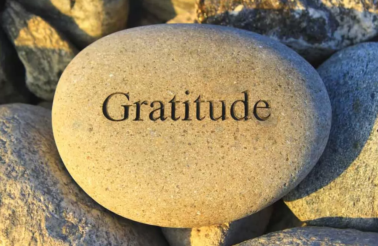 Experiencing gratitude may increase longevity among older adults